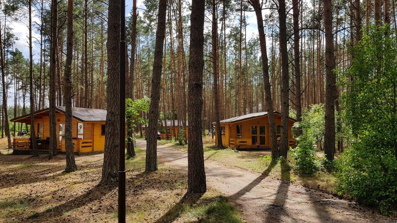 Osrodek Wypoczynkowy Nad Brda Tuchola Exterior foto